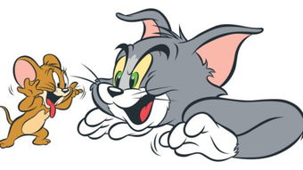 what do tom and jerry do,What Do Tom and Jerry Do?