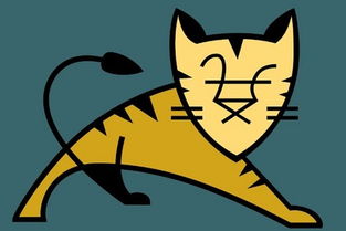 tom cats,Understanding the Tom Cat: A Comprehensive Guide