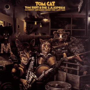 tom & cat,About Tom and Cat