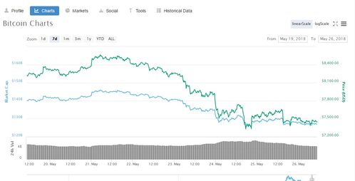 Bitcoin Performance: Assessing Its Status in the Market, Trends and Future