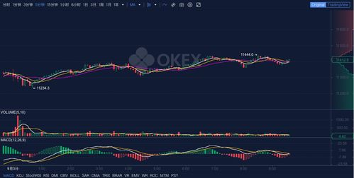 BTCUSD Update, Recent Trends, and Market Insights