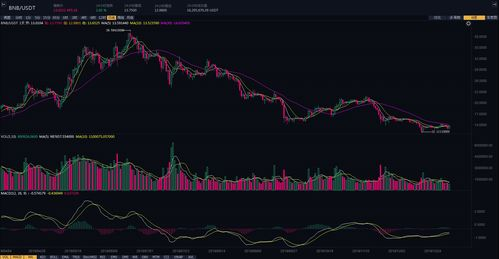 Comparative Significance in the Crypto Market