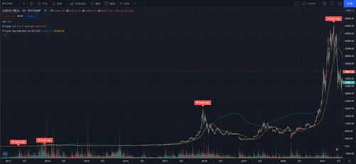 Pi Cycle Top: Understanding Bitcoin\’s Market Peaks, Trends and Indicators