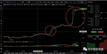 Factors Influencing the Bitcoin to Naira Conversion Rate