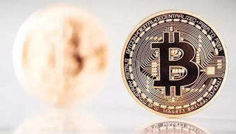 Factors Influencing Bitcoin's Price