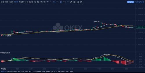 Conversion Tools for BTC to USD