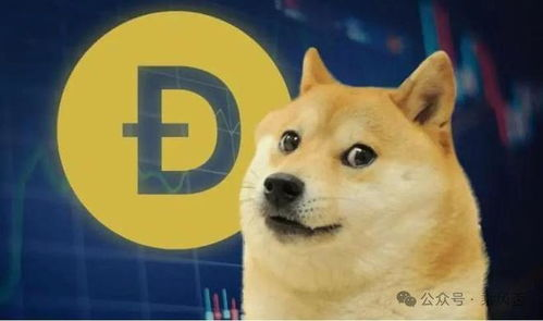 The Relationship Between DOGE and USD