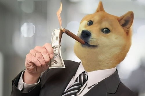 Factors Influencing Dogecoin's Price