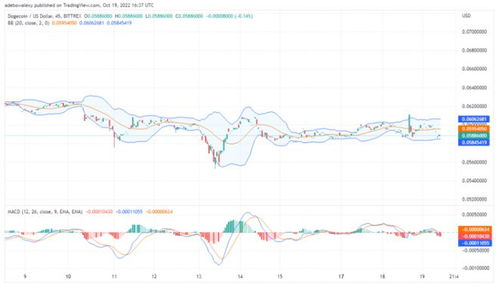 DOGE USD Forecast, Future Prospects and Market Trends