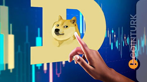 Recent Developments in Dogecoin