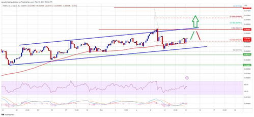 Current Price Trends and Influencing Factors