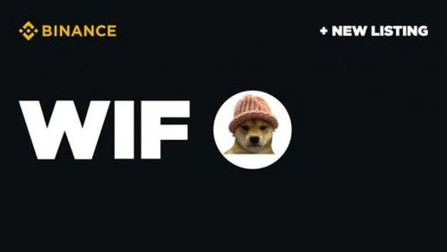 Where to Purchase Dog Wif Hat Merchandise