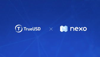 NEXO to USD, Understanding Cryptocurrency Valuation