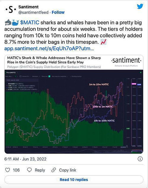 Polygon to USD: Understanding the Conversion Process, Trends, and Insights