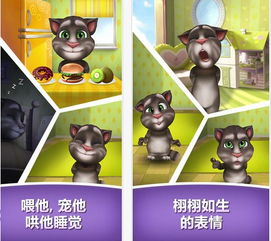 my talking tom my talking tom my talking tom