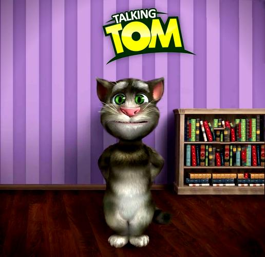 talking tom baldor,Talking Tom Baldor: A Comprehensive Overview