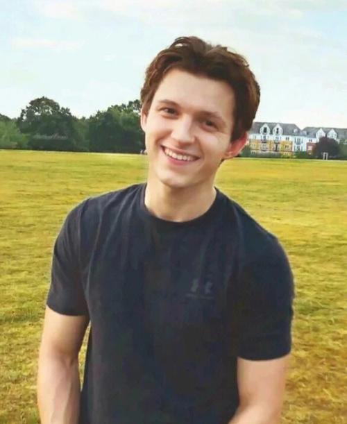 tom holland gay scene,Tom Holland’s Personal Life