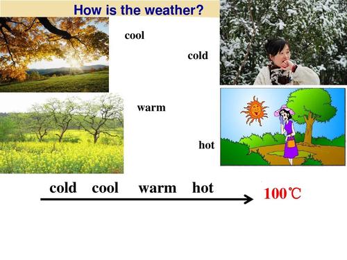 skin tone cool or warm,Understanding Skin Tone: Cool or Warm?