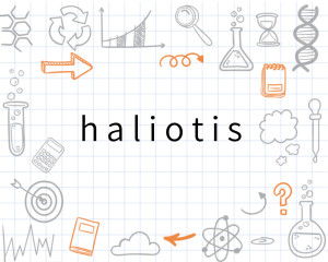 Haliotis price per ton,Haliotis Price Per Ton: A Comprehensive Overview