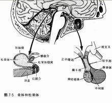 1 megaton in ton,Understanding 1 Megaton in Ton: A Comprehensive Guide